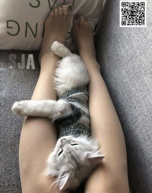 久久久久国产熟女精品_剧情片手机在线观看