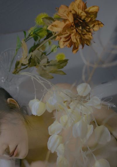 朝鲜女人大p毛茸茸视频_剧情片电影完整版