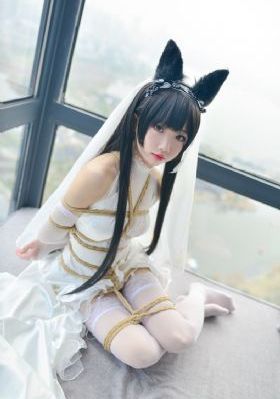 91视频同性日韩精品免费_剧情片在线手机播放