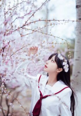 熟妇在线观看免费视频_1080P高清视频观看